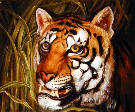 Tiger, tiger burning bright... van English School