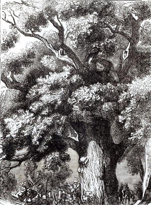 Charles II (1630-85) Hidden in the Oak Tree, 14th October 1651 (engraving) (b&w photo) van English School, (19th century)