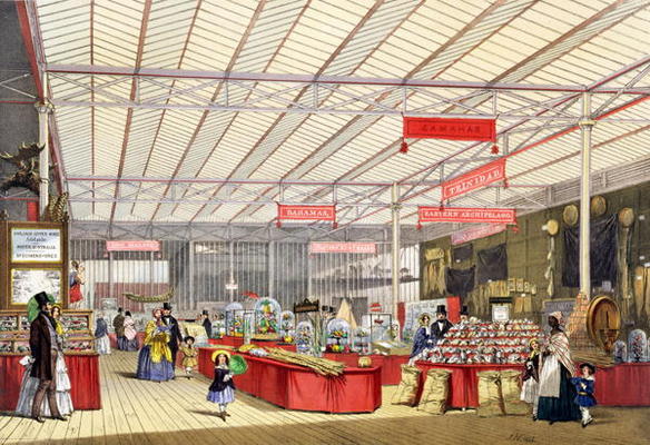 Colonial Produce in the Great Exhibition of 1851, from Dickinson's Comprehensive Pictures (coloured van English School, (19th century)