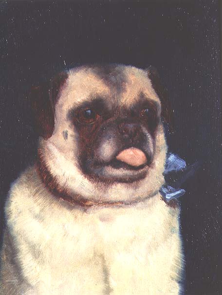 A Pug, 1895 (board)  van Ernest Moore