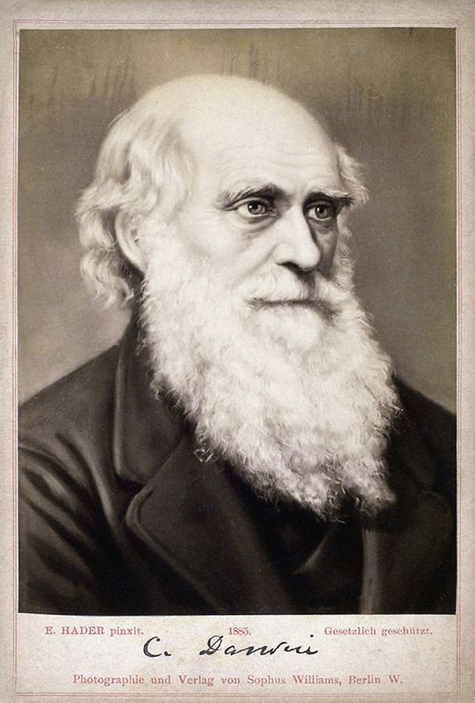 Portrait of Charles Darwin (1809-1882) van Ernst Hader