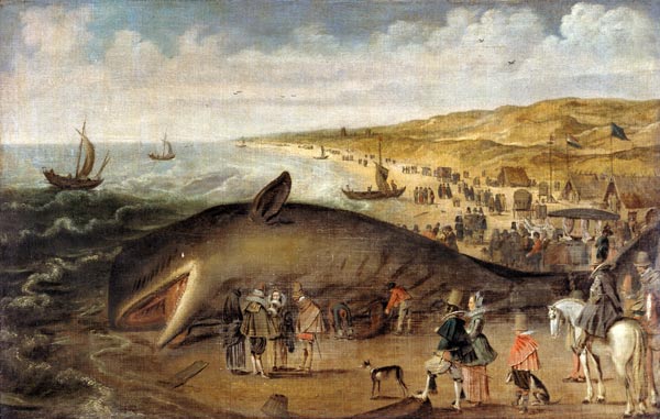 The Whale beached between Scheveningen and Katwijk van Esaias II van de Velde
