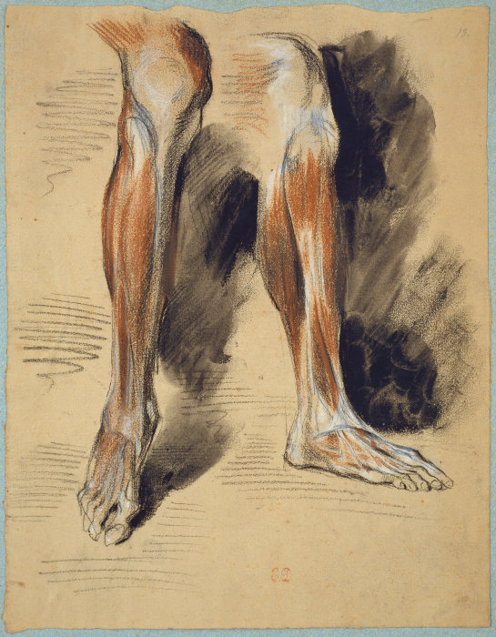Studies of a right Leg van Eugène Delacroix