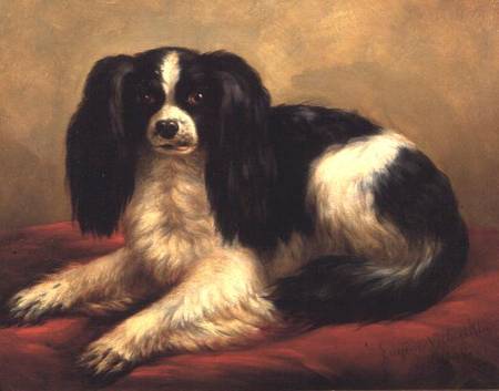 A King Charles Spaniel Seated on a Red Cushion van Eugène Joseph Verboeckhoven