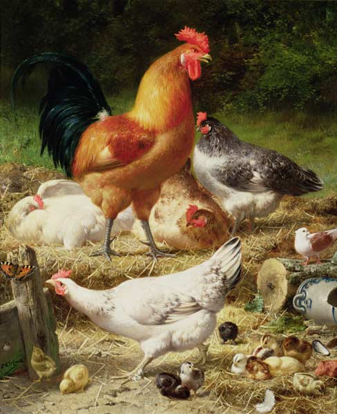 Chickens van Eugène Remy Maes