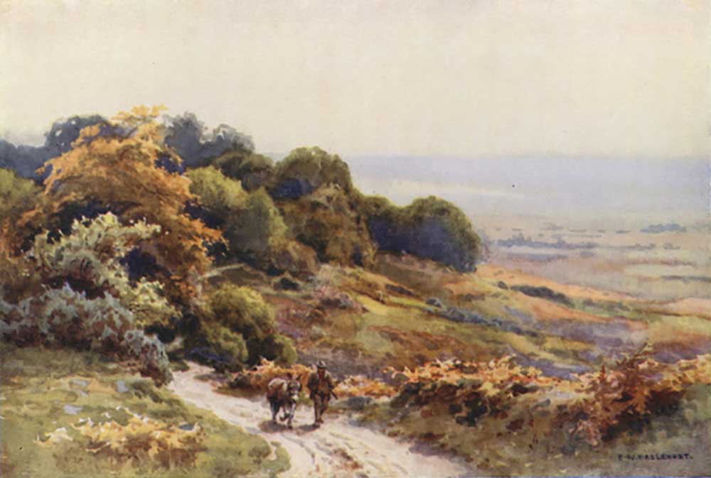 Burley Moor van E.W. Haslehust