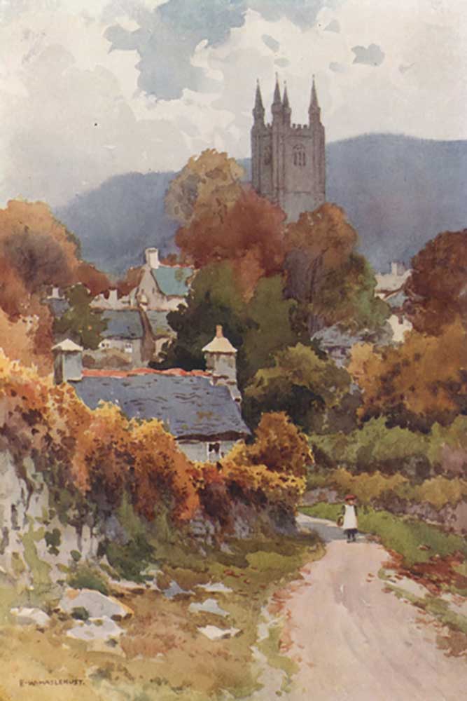 Widecombe on the Moor van E.W. Haslehust