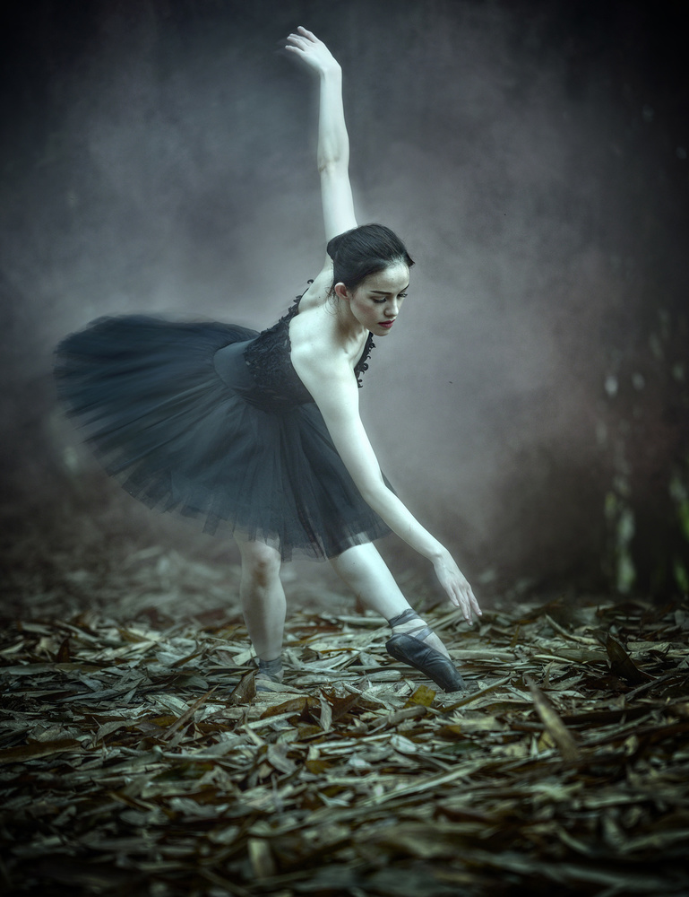 Ballerina van Fahmi Bhs