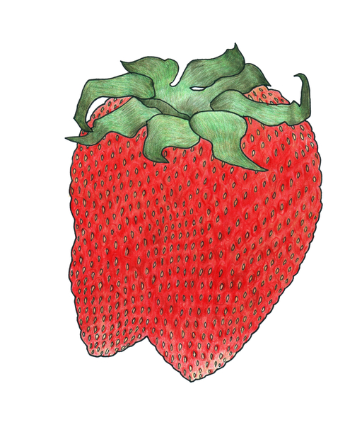 Strawberry 2 van Faisal Khouja