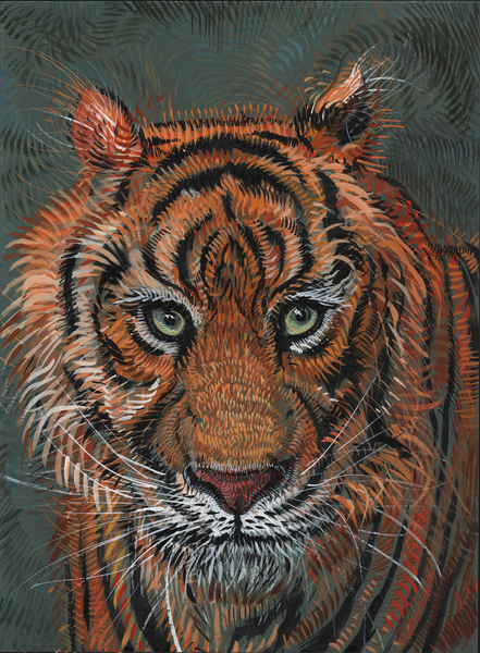 Tiger 2 van Faisal Khouja