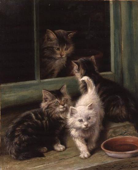Kittens van Fannie Moody
