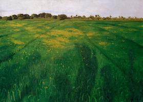 Vallotton / Green oat-field / 1912