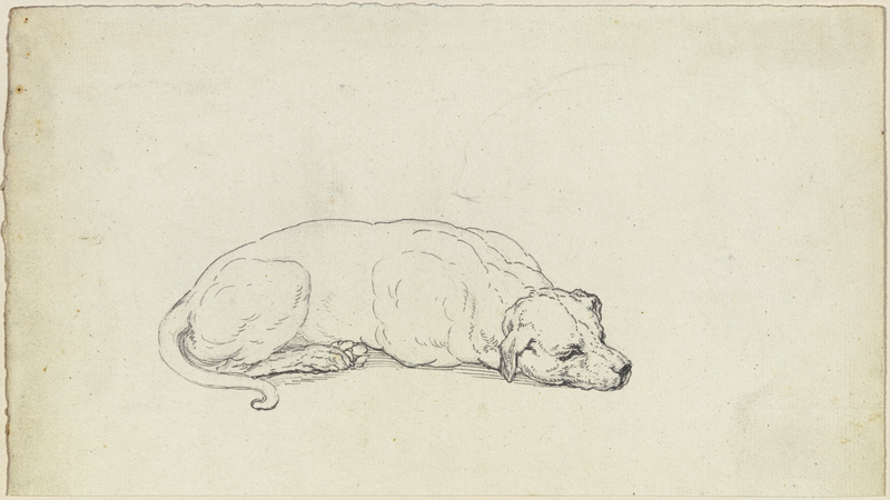 Sleeping dog van Ferdinand Fellner
