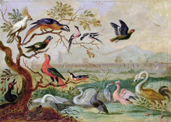 Birds from the Four continents in a landscape with a view of Peking in the background van Ferdinand van Kessel