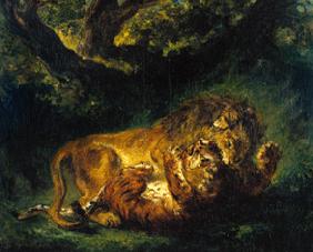 Kampf zwischen Löwe und Tiger