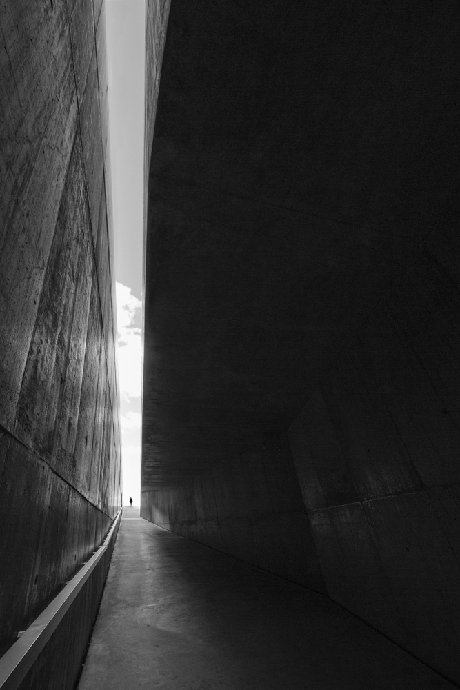 Between the shadow and the light van Filipe P Neto
