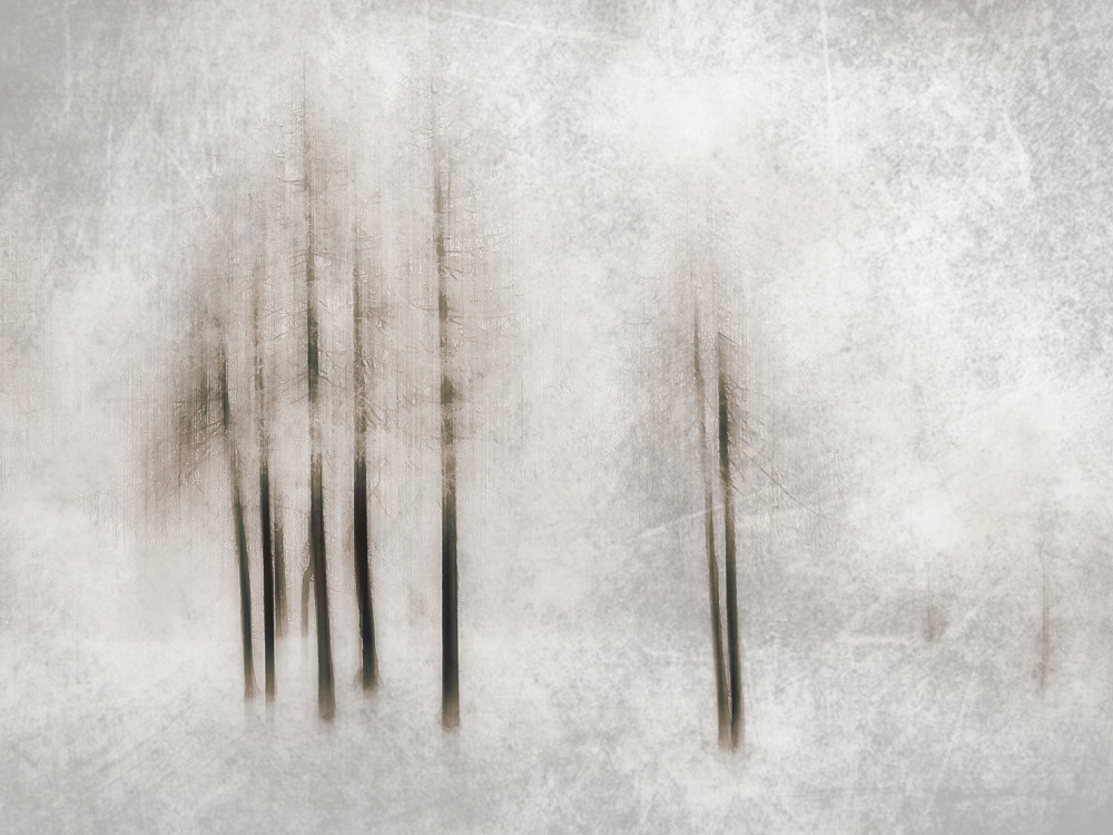 Winter ghosts van Filippo Manini