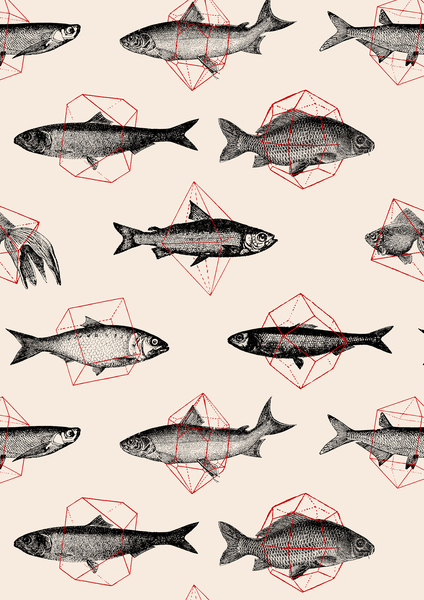 Fishes in Geometrics van Florent Bodart