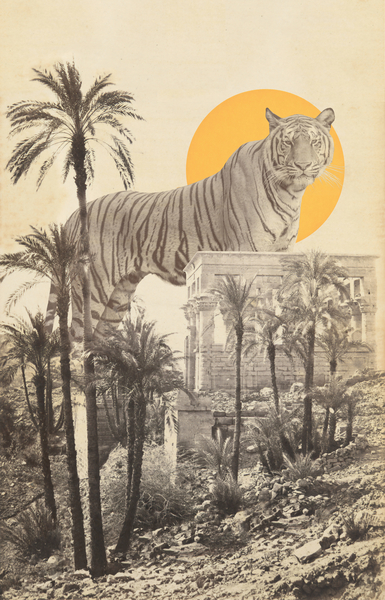 Giant Tiger in Ruins and Palms van Florent Bodart