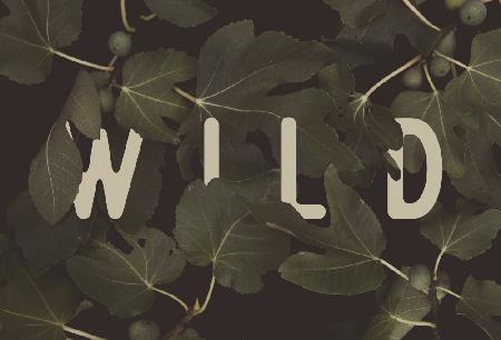 Wild Nº2