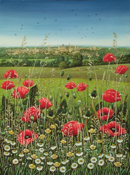 Oxford / Poppies van Frances Broomfield