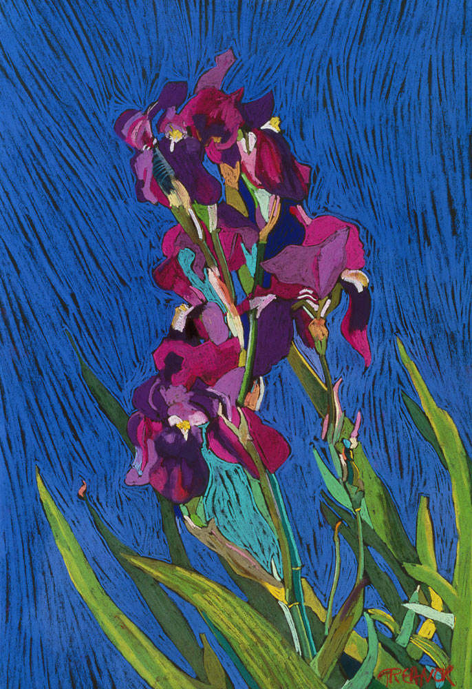 Irises van  Frances  Treanor