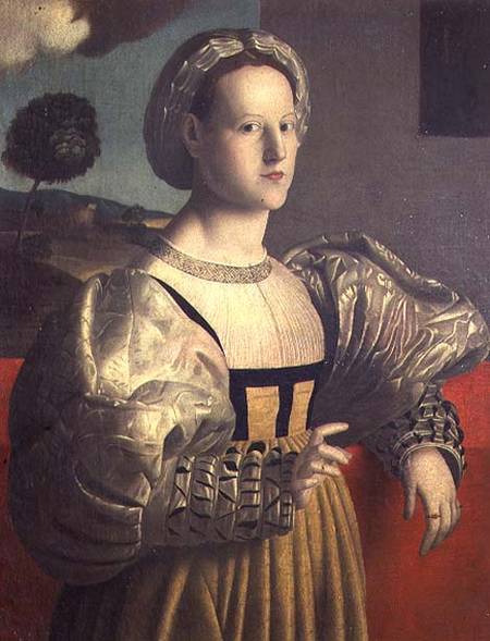 Portrait of a lady van Francesco Ubertini Verdi Bachiacca