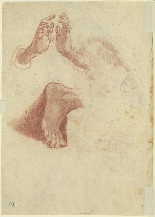 Studienblatt: Anbetend erhobene Hände und der abgewinkelte Fuß eines anbetenden Hirten van Francesco Vanni