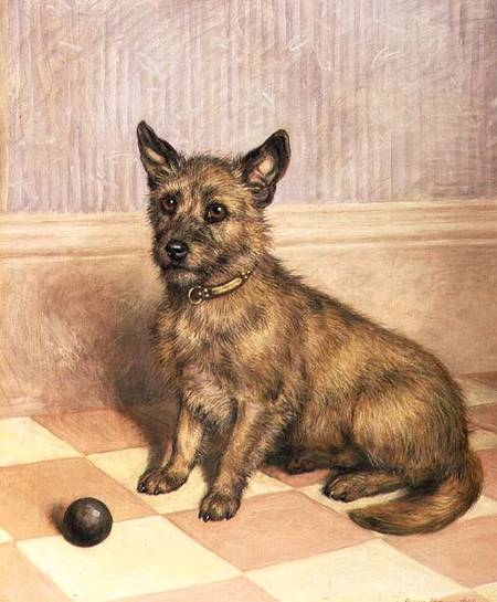 Waiting to Play, a Cairn terrier with a ball van Frank Paton
