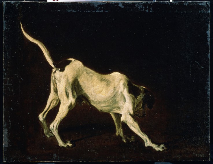 A dog van Frans Snyders
