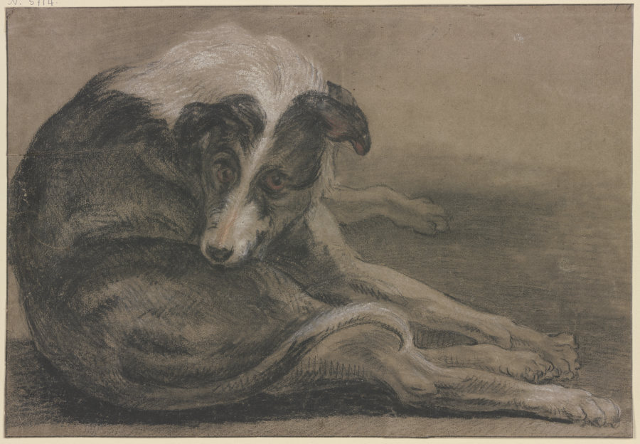 Greyhound, lying van Frans Snyders