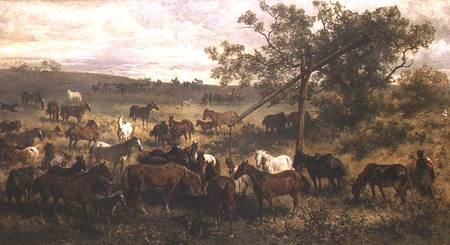 Horses at a Trough van Franz Adam