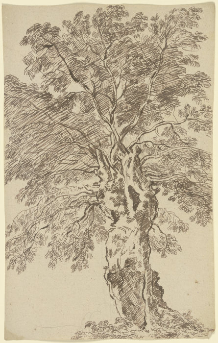 Old tree van Franz Innocenz Josef Kobell