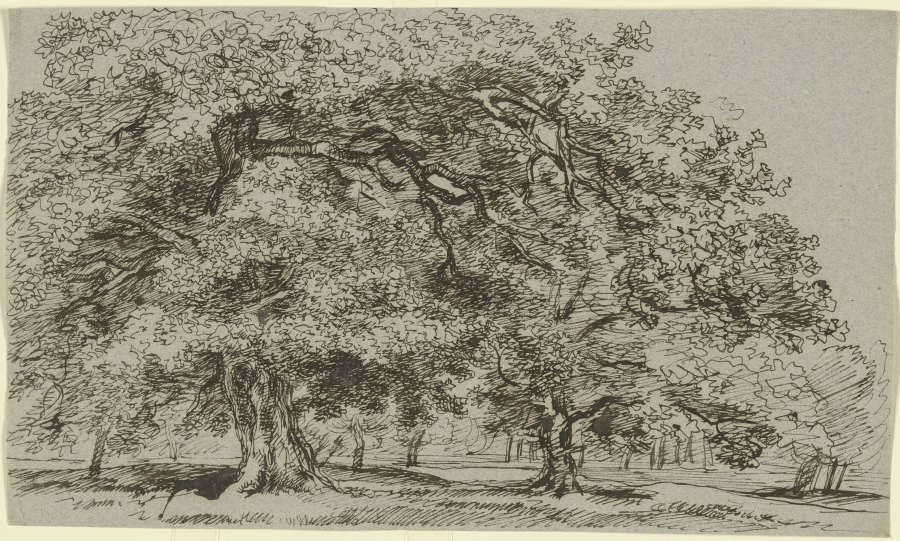 Trees on a meadow van Franz Innocenz Josef Kobell
