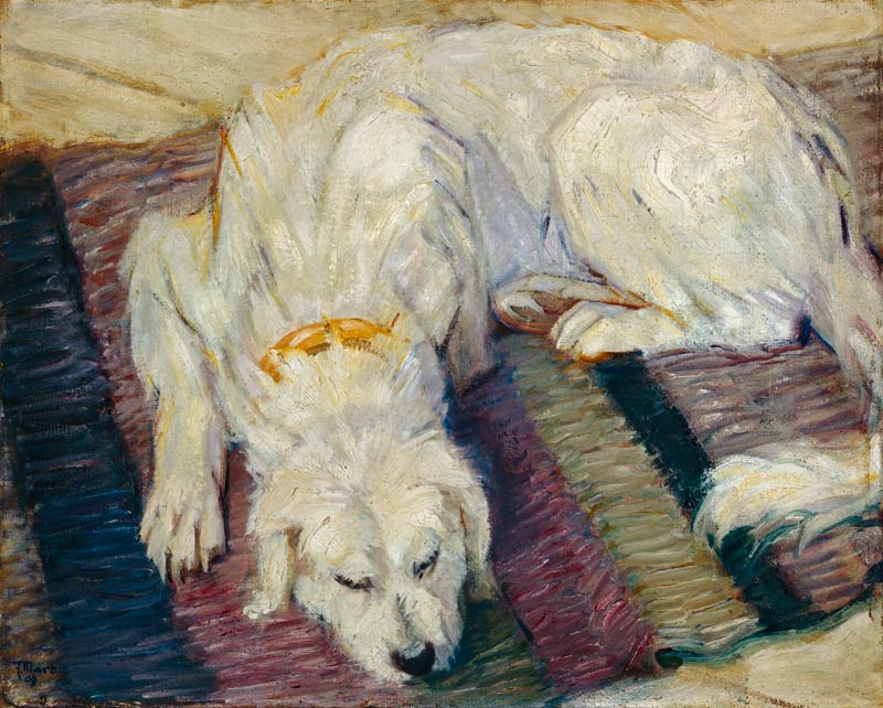 Liegender Hund (Hundeportrait) van Franz Marc