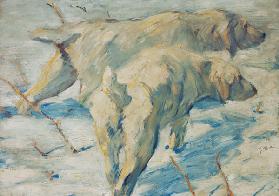 Siberische honden in de sneeuw Franz Marc