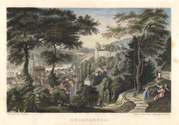 Heidelberg , View from the West van Franz Xaver Eisner