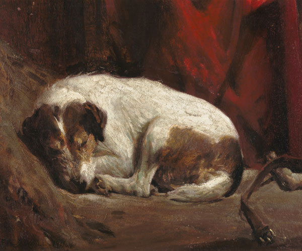 A Sleeping Fox Terrier, 1911 (board) van Fred Hall