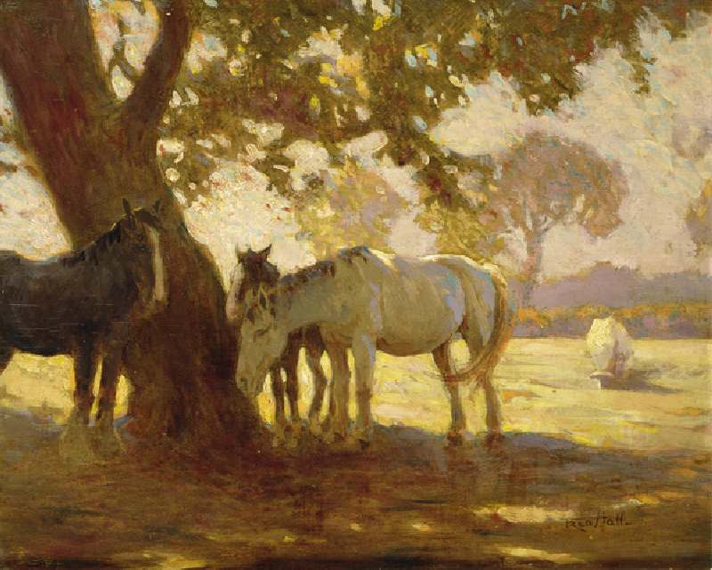 In the Shade (oil on canvas) van Fred Hall