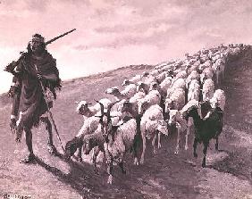 Navajo Sheepherder (panel)