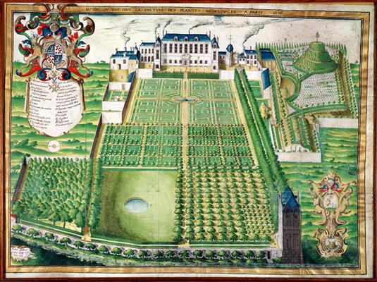 The King's Medicinal Plant Garden, 1636 (engraving on vellum) van Frederic Scalberge