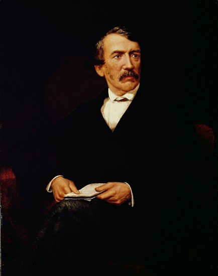 Portrait of Livingstone (1813-1873) van Frederick Havill