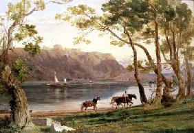 River landscape with barge horses