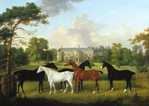 Vijf renpaarden voor een Engels landhuis van Frederick W. Keyl