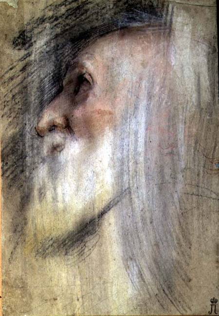Head of an Old Man in Profile van Frederico Barocci