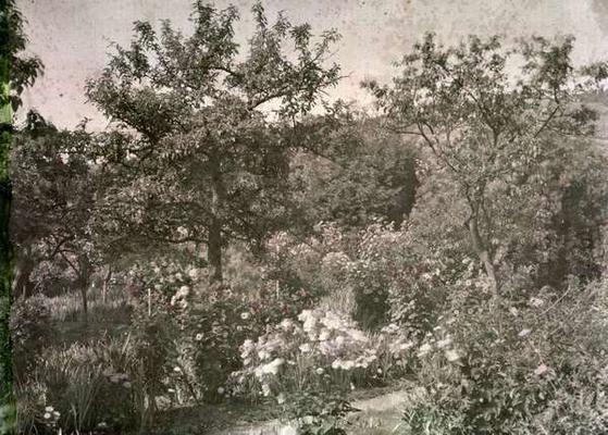 View of Giverny, Monet's Garden, early 1920s (photo) van French Photographer, (20th century)