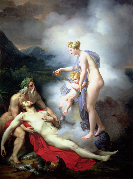 Venus heals Adonis van French School
