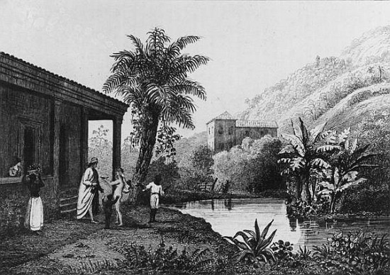 Coffee Plantation,from ''Bresil, Columbie et Guyanes'' Ferdinand Denis and Cesar Famin 1837 van French School