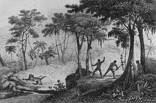 Jaguar Hunt, from ''Bresil, Columbie et Guyanes'' Ferdinand Denis and Cesar Famin 1837 (engraving) van French School