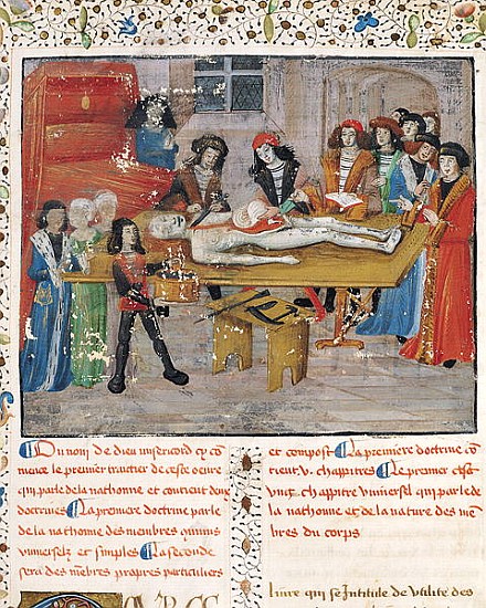 Ms H 184 fol.14v Dissection lesson at the Faculty of Medicine in Montpellier, from ''La Grande Chiru van French School